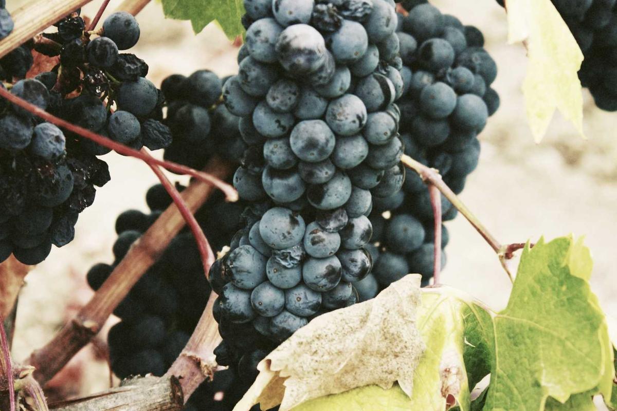 The Strategic Integration of Grid Stability: Orchestrating the Reconfiguration of Long-Duration Energy Storage Assets