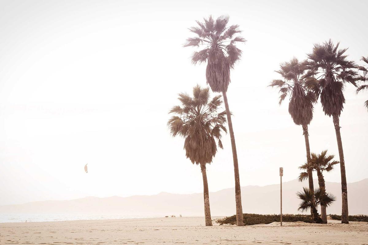 China vs. The G7: The $14 Trillion Rare Earth Scarcity War