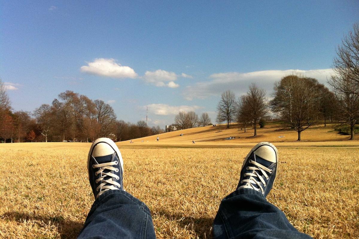 Nvidia vs. The Power Grid: The $1 Trillion Efficiency Race