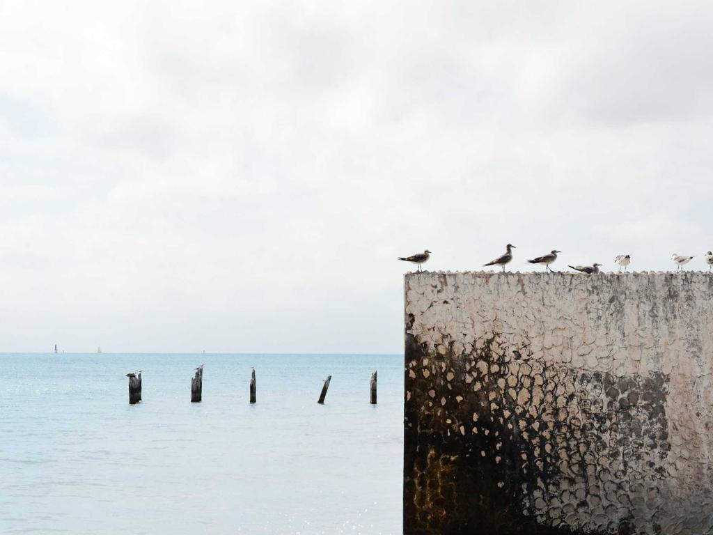 Hybrid AI’s Structural Gravity: Decoupling Compute for Edge-Native Alpha Generation