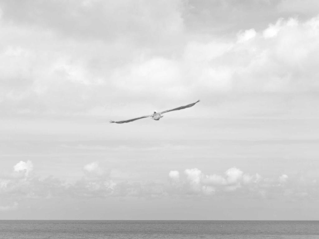 Institutional Alpha in Autonomous Agentic AI Ecosystems 2026