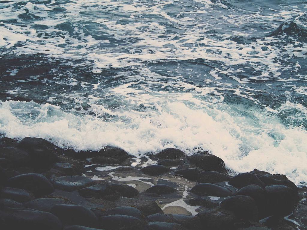 The Psychology of Wealth in the AI Era: Strategic Imperatives for Institutional Capital